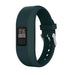 Garmin Vivofit Jr 1/2 Strap (Green-Blue) Garmin Vivofit Jr 1/2 Strap (Green-Blue)
