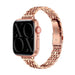 xoxo Wildhearts Apple Watch Steel Strap 