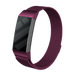 Fitbit Charge 4 Milanese Strap (Purple)