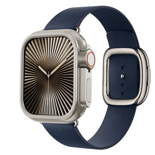 Bandz Apple Watch Metal Case (Titanium)