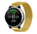 Polar Vantage M Milanese Strap (Gold)
