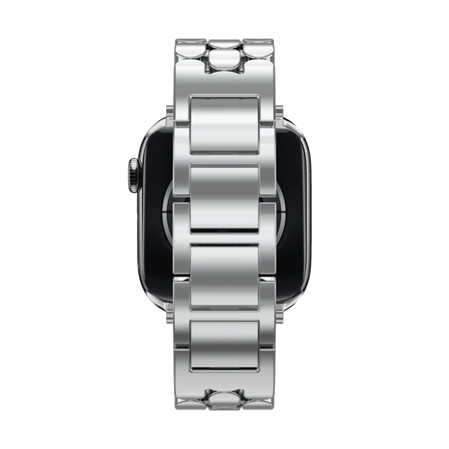 Steel Strap 'Oval', silver, on a watch, direct front view