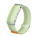 Fitbit Air Nylon Strap with Frame (Mint)