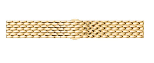 Coros Apex 2 Steel Dragon Strap (Gold)