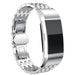 Fitbit Charge 4 Steel Strap Dragon (Silver)