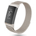 Fitbit Charge 4 Milanese Strap (Starlight)