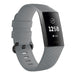 Fitbit Charge 4 Silicone Strap (Grey)