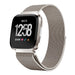 Fitbit Versa / Versa 2 Milanese Strap (Starlight)