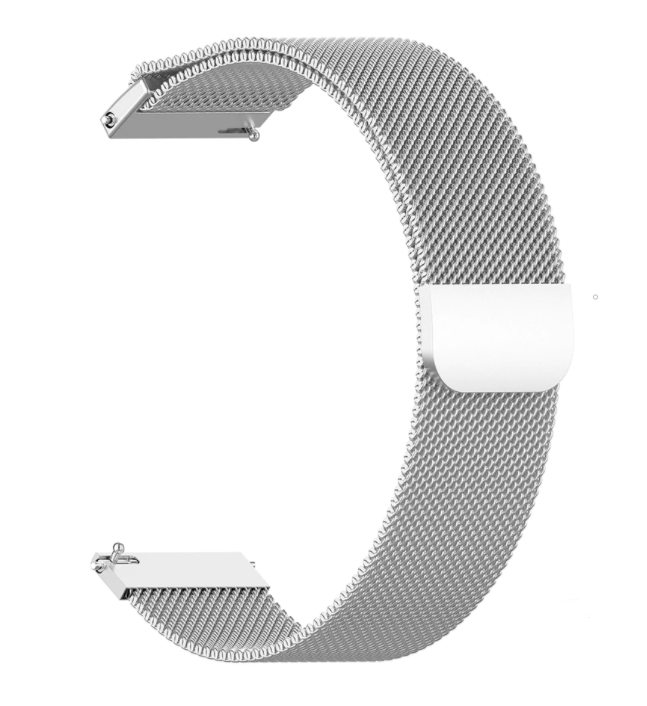 Garmin Forerunner 255 Milanese Strap (Silver)
