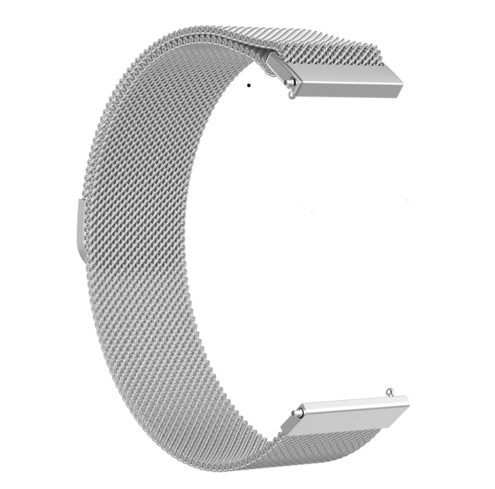 Garmin Forerunner 255 Milanese Strap (Silver)