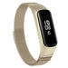 Samsung Galaxy Fit e Milanese Strap (Champagne Gold)