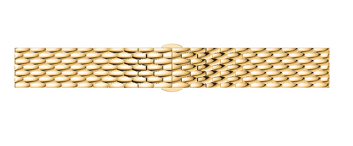 Coros Apex 42mm Steel Dragon Strap (Gold)