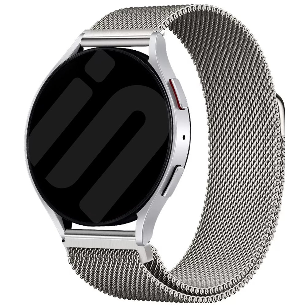 Garmin Forerunner 255 Milanese Strap (Titanium)